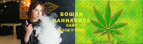 ПСИЛОЦИБИНОВЫЕ ГРИБЫ Елизово