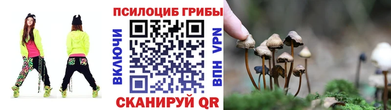 Псилоцибиновые грибы MAGIC MUSHROOMS  сколько стоит  Яровое 